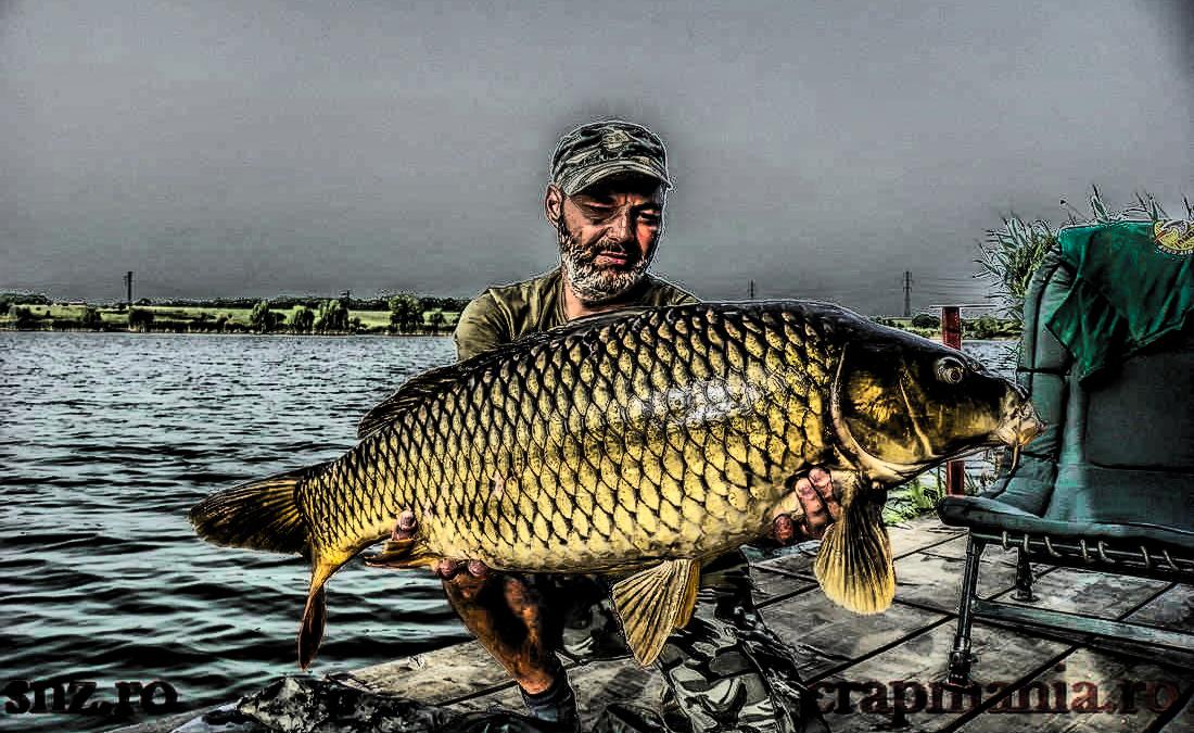 Cupa Seniorilor (2) -2013  - 1011129hdrmode2.JPG